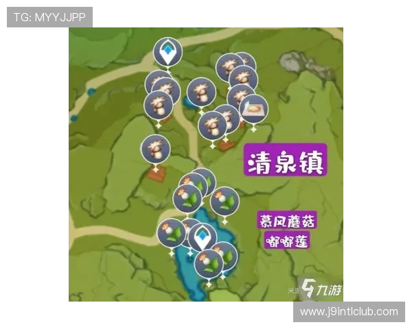 打造高效体验，九游网官网登录入口使用技巧完整版